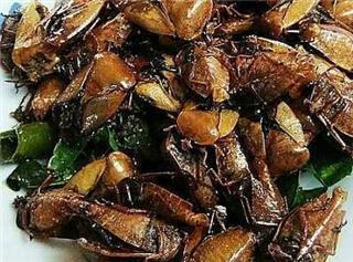 80后儿时的美食记忆,80后记忆中的美味零食你吃过几种