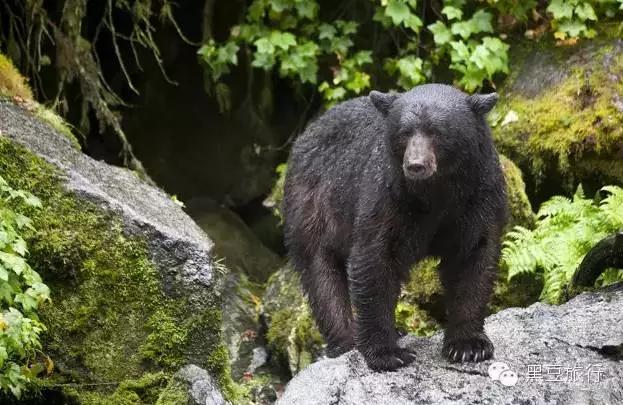 今年五一不出门宅在家里,五一不宅家悦游好时节