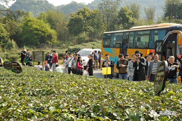 「要闻快讯」促扶贫·迎新春，九龙小镇举办大型晚会！（四则）