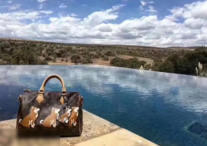 lv经典款黑色包包图片和价格大全,lv2018新款女包大红包