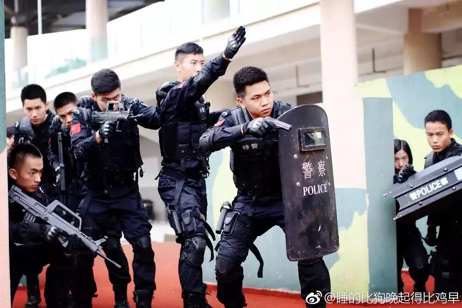 我骄傲我是南航人,我骄傲我是一棵树原文