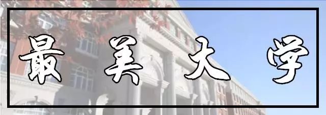 神一样的学校高考和中考都很惊艳,神一样的学校