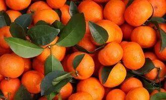 英德市特色,英德有几个特产