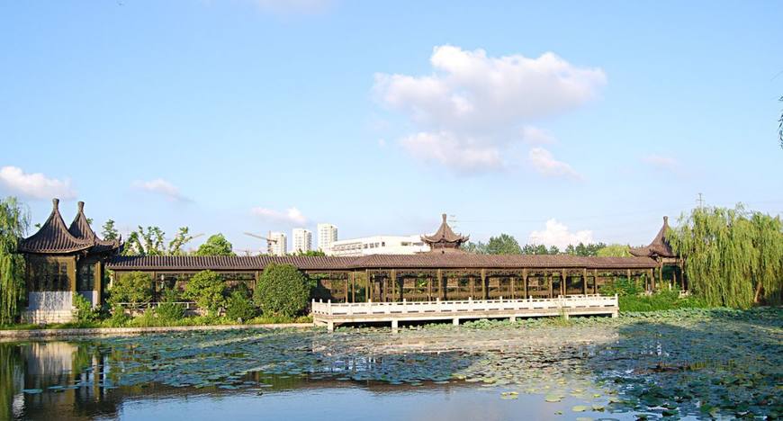 盐城东方湿地景点,盐城东方湿地生态园