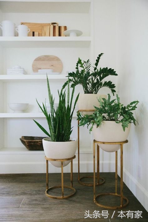 居家必备小妙招学会家里焕然一新,最省钱最实用的家居小妙招