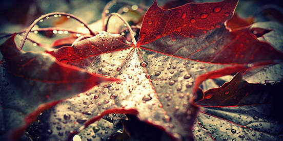 高逼格微博背景图分享3，英雄联盟是亮点