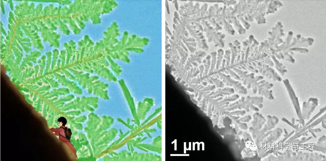 投票表决素材模板,投票素材图片图文