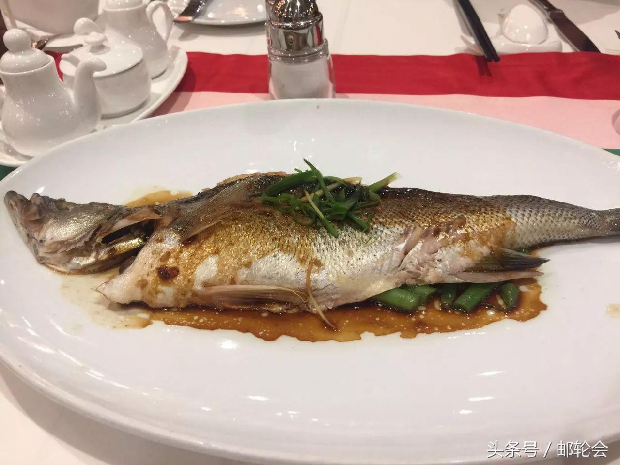 乘坐邮轮旅游攻略,想带孩子坐轮船去哪里旅游