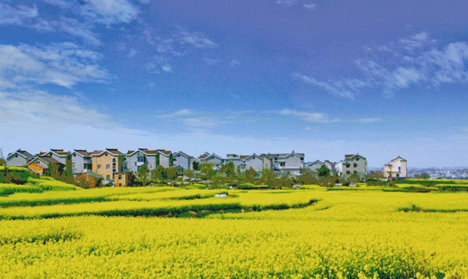 一城一色の人有德行，如水至清-德清