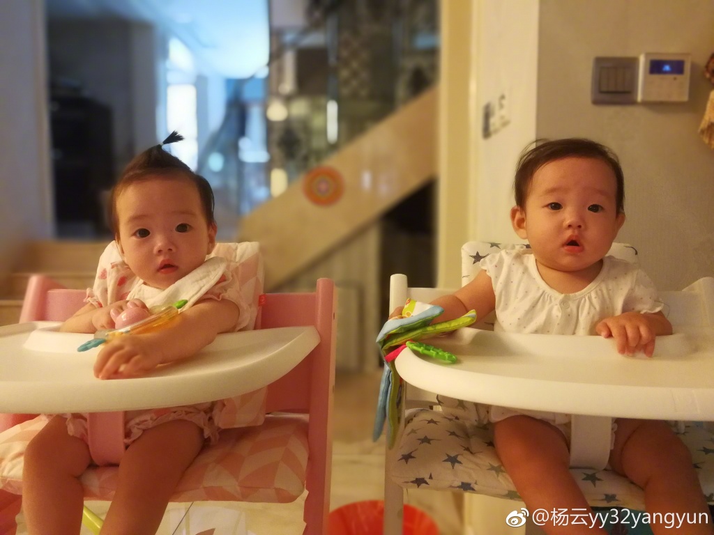 2017年出生的21个星二代宝宝，你最喜欢哪一个？最期待谁的发展？