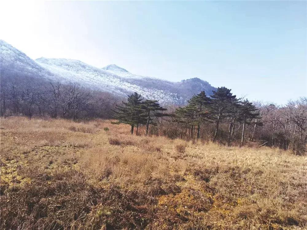 青山为伴！他在安吉龙王山留下的脚印，可绕地球一圈有余