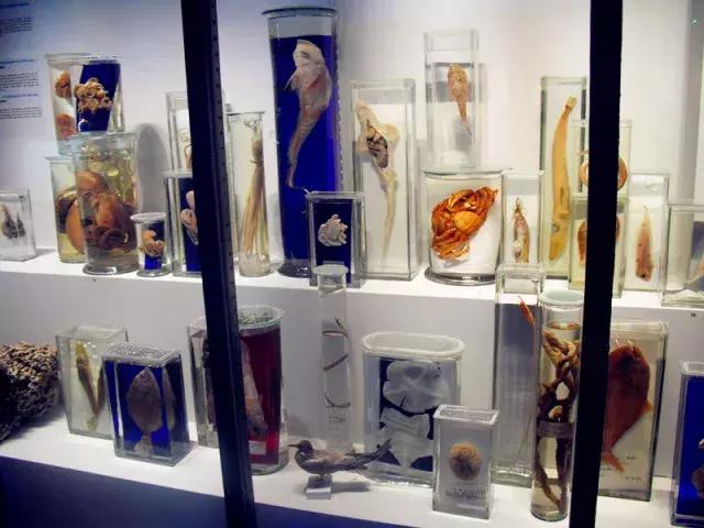 法国纪行—摩纳哥（看看F1赛道，欧洲*场赌**和摩纳哥王妃）