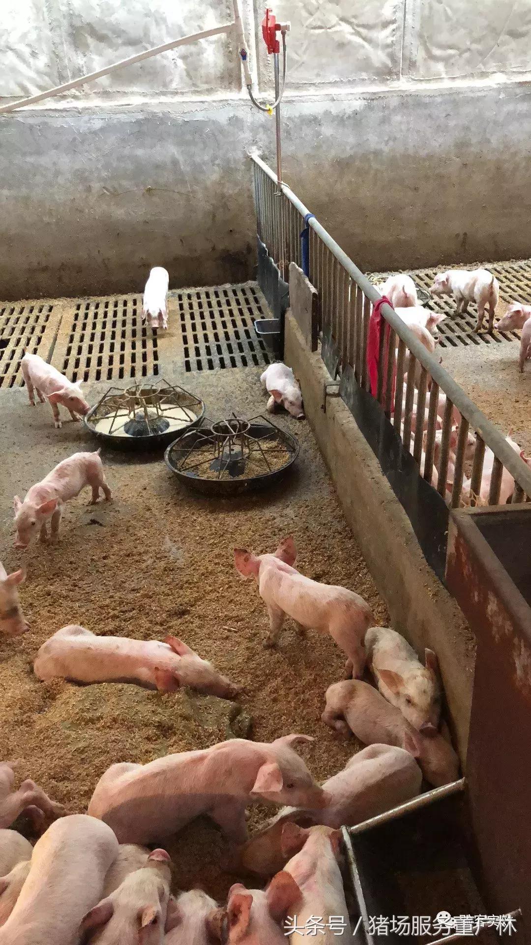 董广林最近消息,董广林最新消息