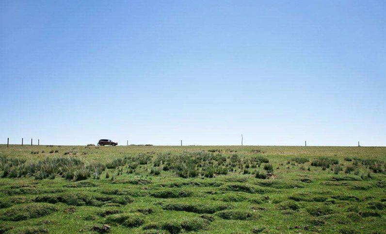 海外拼命开店，天猫狂卖“微火锅”，小尾羊能逆袭吗？