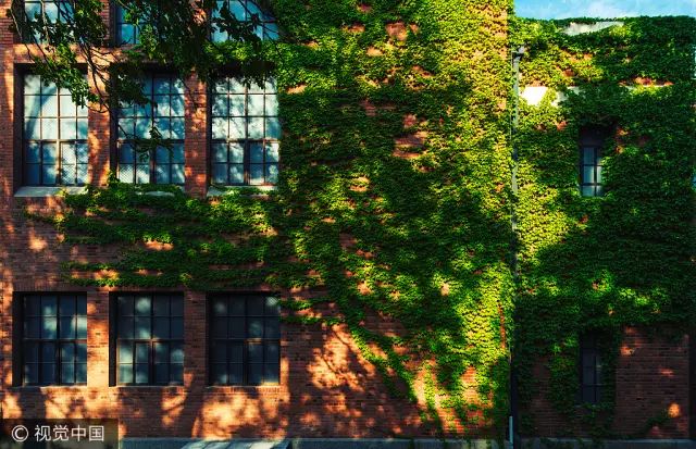 水木清华年轻的时候,水木清华天生丽质