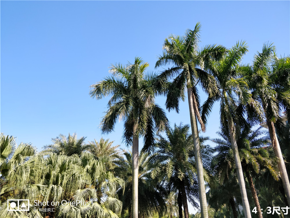 一加5t全面屏新旗舰,一加的前世今生