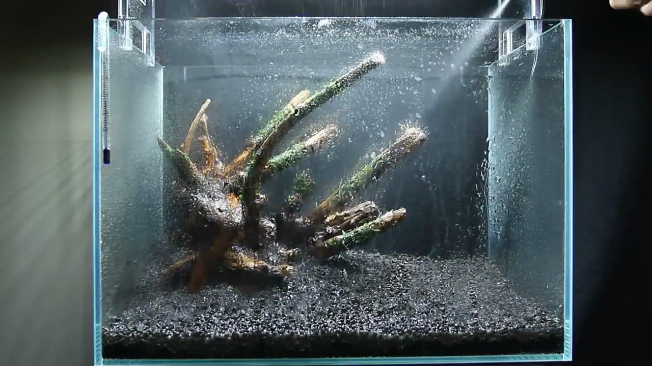 简单的草缸如何制作打理,最简单的小草缸