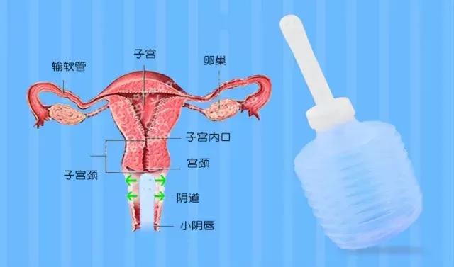 认为“洗洗更健康”不对的，那是因为你不会洗！