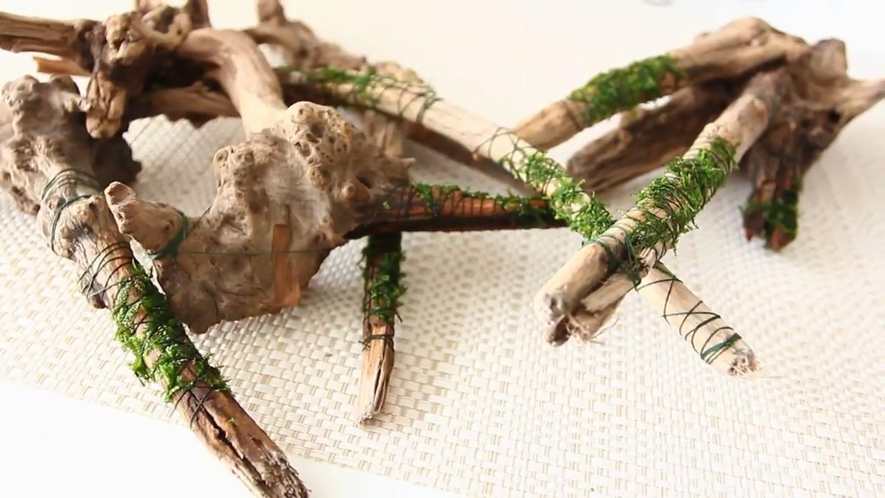 最简单的成品草缸,草缸的制作过程