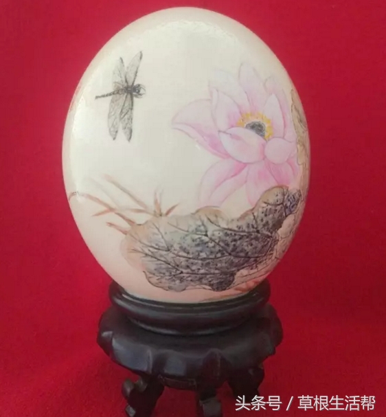 养殖“大笨鸟”，敲开致富门，80后回老家创业成为新一代农场主