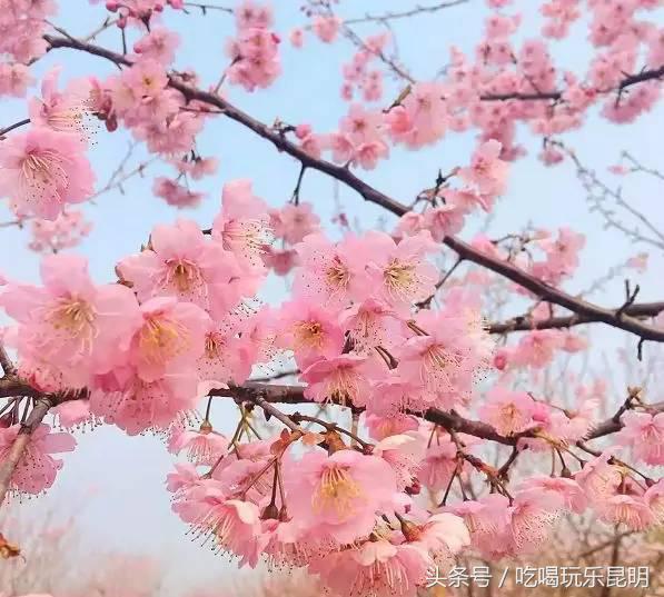 有一种骄傲叫恒大,云师大商学院