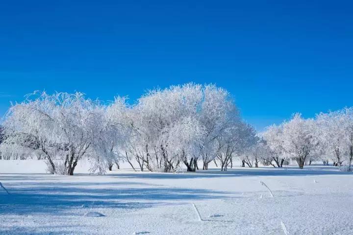 后期处理对于摄影来说是重要的吗,摄影后期用什么好