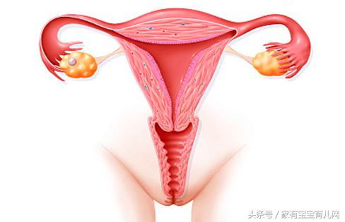 顺产妈妈痛苦吗,顺产妈妈产后的痛苦过程