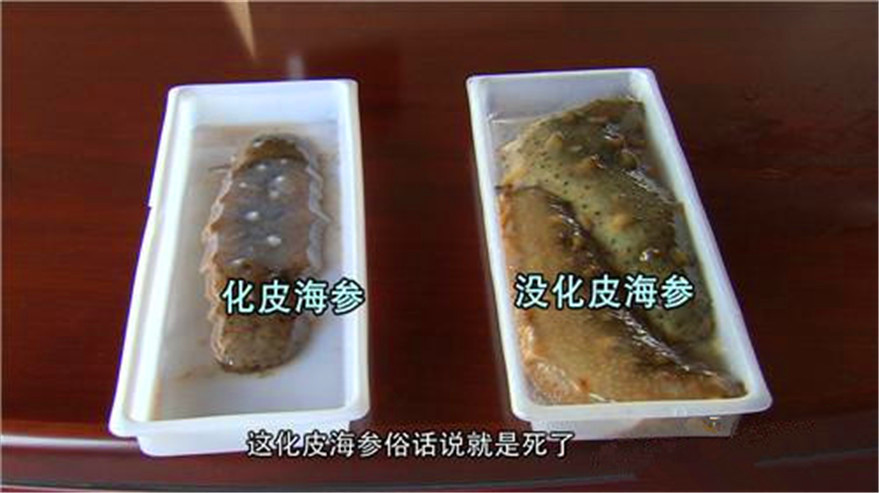 玩海参年入6000万，花样层出的他说，蠢人没机会赚钱