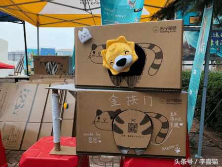 我们能为一只流浪猫做什么,在寒冷的冬季遇到流浪猫