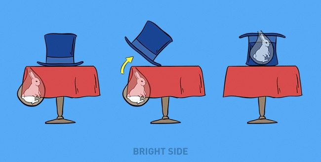 100个能骗过大人的小魔术,十大魔术揭秘全集