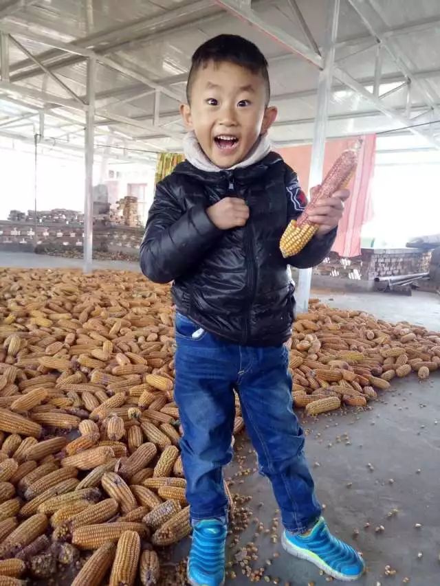 秦汉最震撼的一集,大秦那些感人瞬间