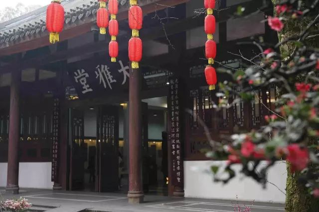 成都腊梅在哪里看,成都赏腊梅有哪些好地方