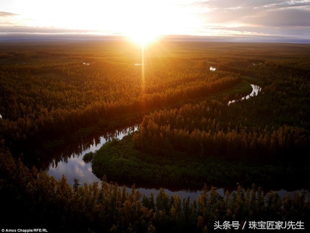 象牙禁令前收藏的象牙,哪一年开始禁象牙