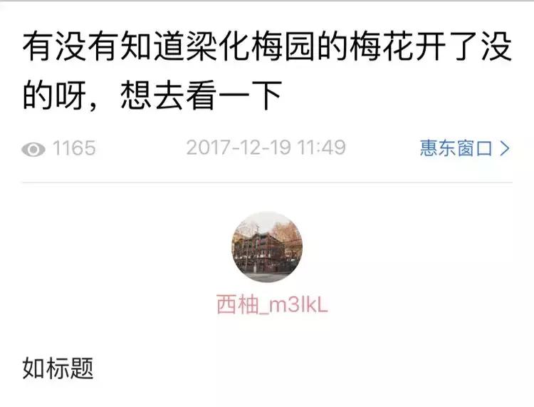 2024年梁化梅园看梅花时间,梁化梅花今年开了吗