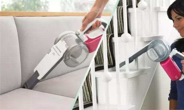 家里有宠物怎么打扫卫生,家里有宠物掉毛如何打扫