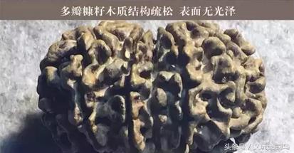 小籽金刚菩提发黑,金刚菩提珠子色差大怎么办