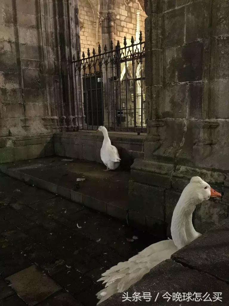 「2017西班牙圆梦之旅」你心中的马德里和巴塞罗那有多远？