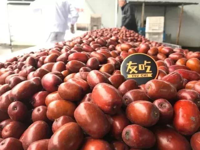 吃红枣真的很补血吗,红枣不煮会补血嘛