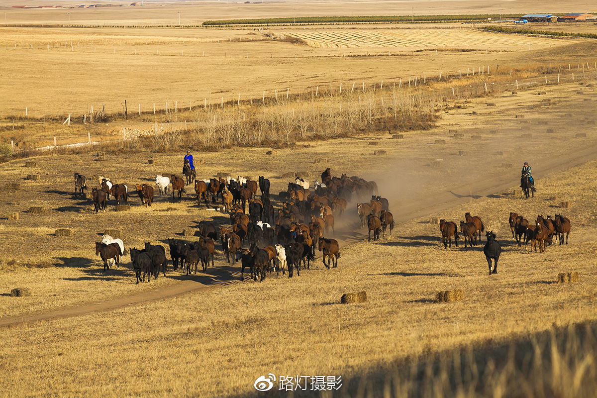 把喜欢的事做到极致诗句,能把喜欢的事做好