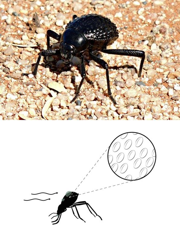 户外旅行建议的水杯,户外探险最好用什么水杯