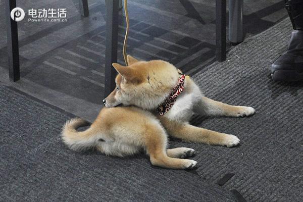 石京龙滑雪场：配套设施齐全/滑雪环境棒