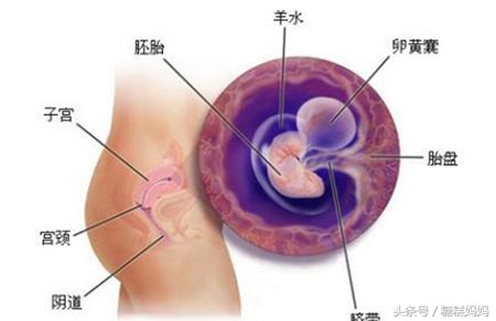 怀孕第一个月需要查哪些,怀孕第一个月要问医生什么问题