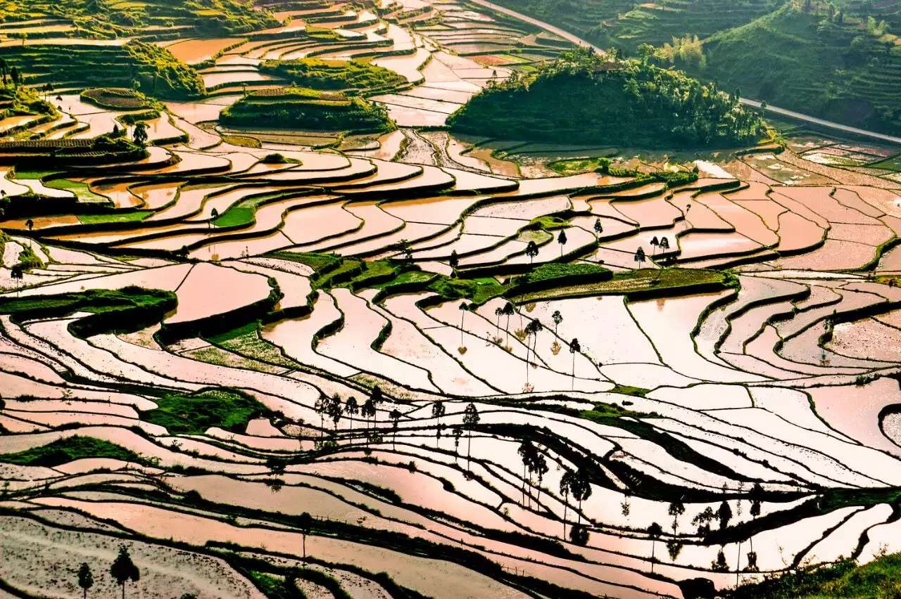 浙江省各地乡村旅游排名,浙江乡村游玩