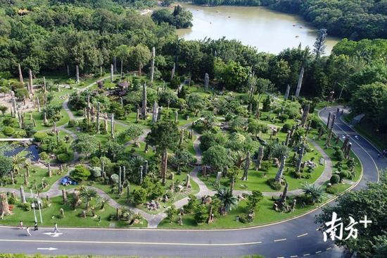 深圳新好玩的免费景点,深圳新出好玩的地方