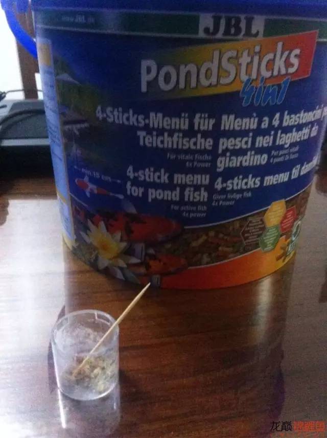 新入缸的锦鲤轻度烂嘴怎么治最快,锦鲤烂嘴烂鳍能自愈吗