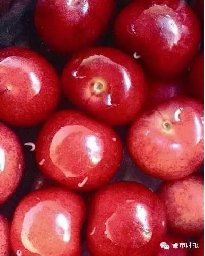 吃山竹吃到满胳膊蚂蚁不点开会后悔！点开可能会吐