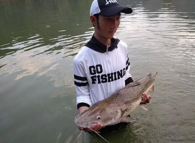 钓鱼探钓达人,钓鱼达人视频海钓