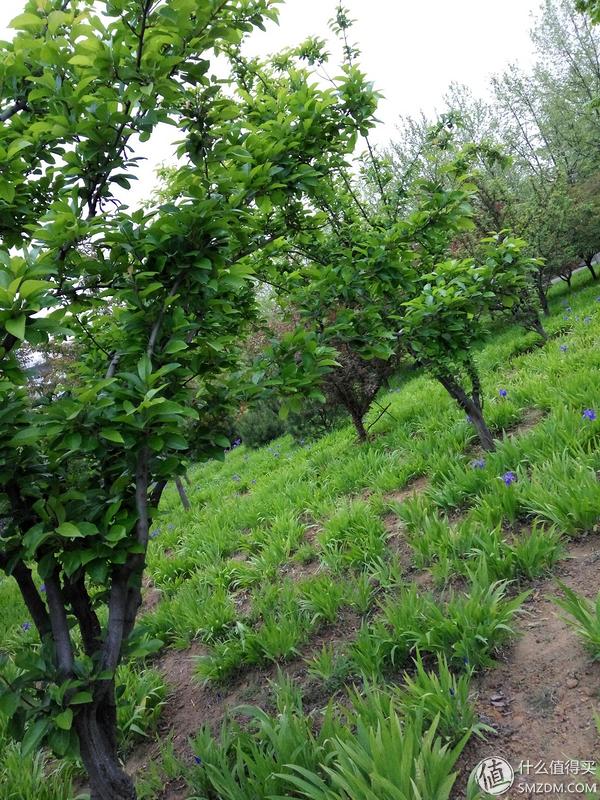 如何评价小米刚发布的红米note3,小米红米备用机推荐300以下