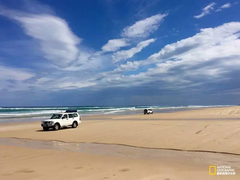 FraserIsland|快来全世界最大的沙岛上撒把野