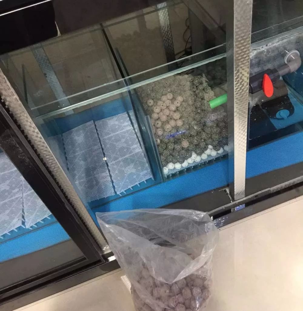 历时4个月，亲手做的缸终于运行！